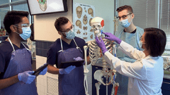 students working on skull