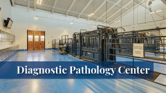 Lab room at the Midwestern University Diagnostic Pathology Center in Glendale, AZ.