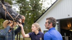 Veterinary students examine a horse’s head outdoors near a barn as part of animal care training.