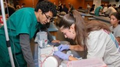 HCI mentor helps student insert an IV at the Downers Grove campus.