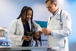 Midwestern University student and faculty member examine small dog.