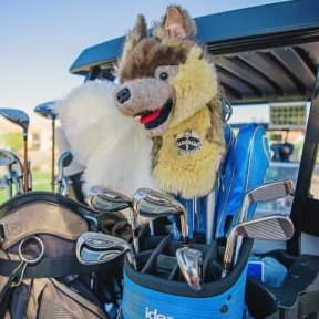 Golf cart with golf bag.