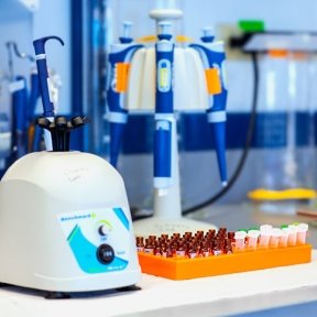 Beadbug, vials, and other equipment at the Pharmacometrics Center.