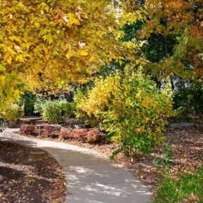 Nature trail in IL