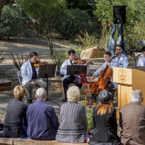 Outdoor gathering with students performing using musical instruments