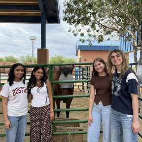 Four Health Careers Institute students smile together in front of a horse corral at MWU's Glendale campus during a veterinary hands-on workshop.