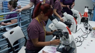 students using microscopes