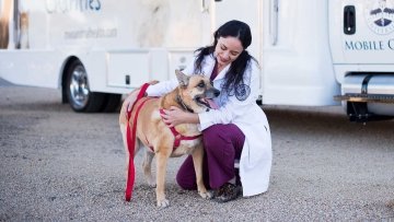 Dr Kriesler kneelin in front of mobile clinic with a standing Dog.