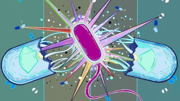 Artisitic rendering of pill broken in half