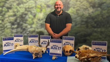 Kevin Manfredi stands by a collection of animal skulls displayed at the Arizona Museum of Natural History