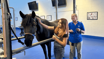 In the large animal clinic, a high school student pets a practice horse while Dr. Waitt-Wolker teaches