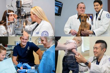 collage of clinic services