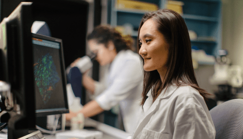 Student sitting at computer in lab