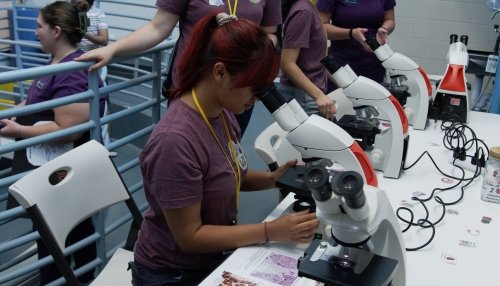 students using microscopes