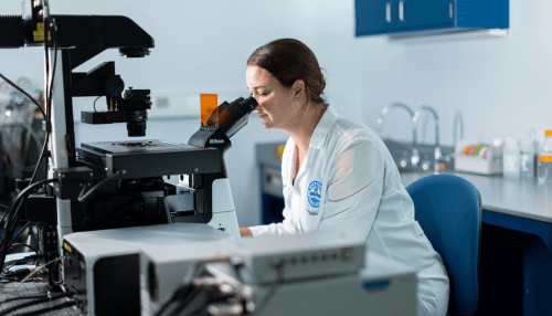 Woman scientist looking through a microscope in a lab.