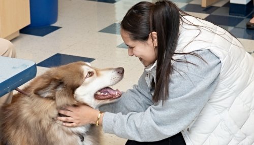 Student interacts with a therapy dog.