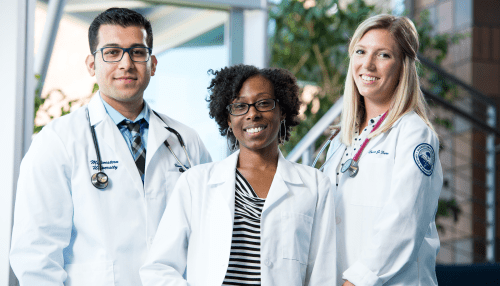 The Mentors in Medicine and Science Program offers mentorship to undergraduates interested in healthcare careers.