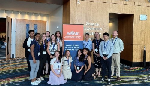 Veterinary students participate in 2-23 Veterinary Scholars Symposium.