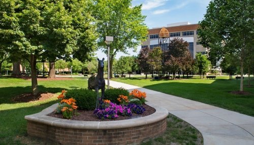 Downers Grove Campus Quad