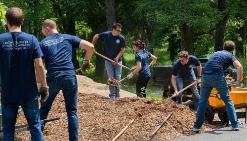 CCOM students volunteering in the community