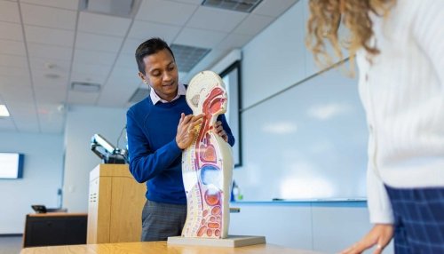 Professor pointing to teaching tool of person’s throat.