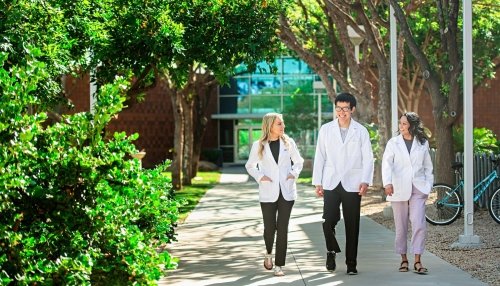 students walking on AZ campus