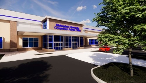 Artistic rendering of animal clinic