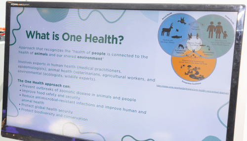 Screenshot of One Health information page on a computer monitor
