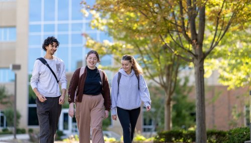 students walking on IL campus