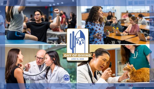 Collage of MWU programs
