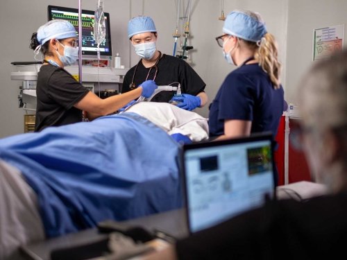 3 students practicing intubating a dummy patient