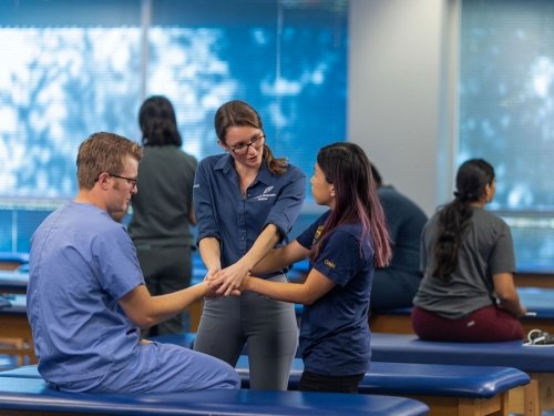 Students practice osteopathic manipulative medicine in the classroom.