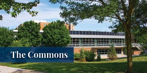 The Commons