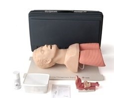 Adult Airway Heads