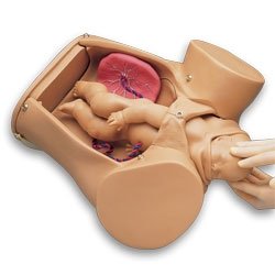 Advanced OB Susie Guamard