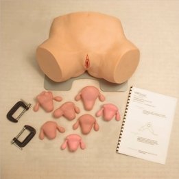 ModelMed Gynaecological Trainer