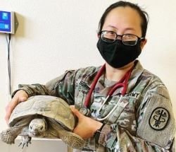 Denise Sorbet holds a turtle.