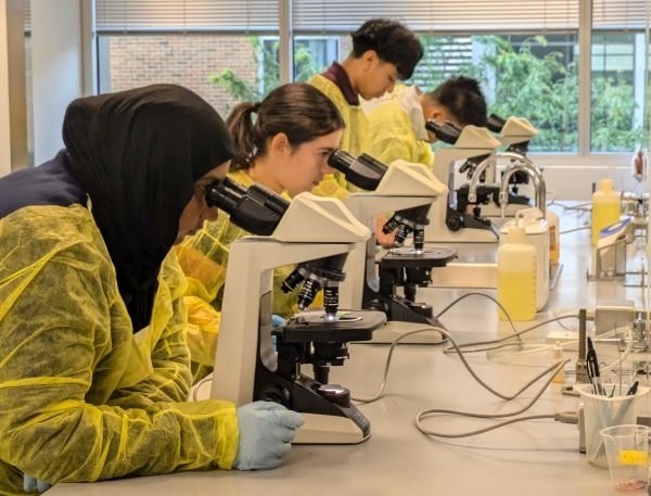 High school students observe specimens under the microscope