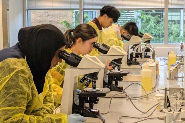 High school students observe specimens under the microscope.